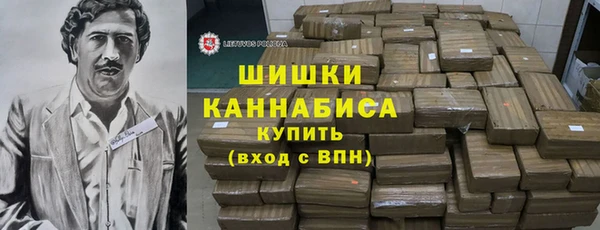 ГАЛЛЮЦИНОГЕННЫЕ ГРИБЫ Богданович