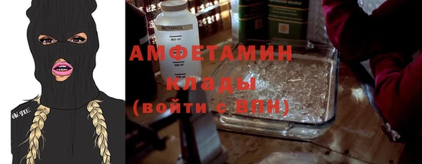 ГАЛЛЮЦИНОГЕННЫЕ ГРИБЫ Богданович