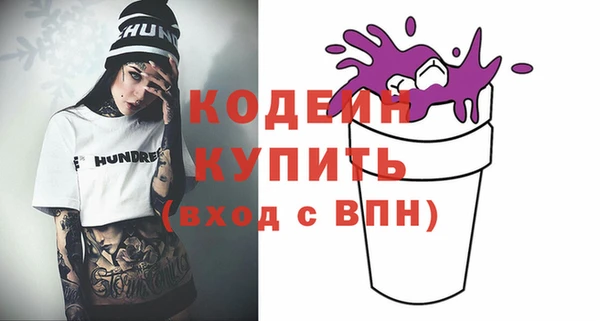 ГАЛЛЮЦИНОГЕННЫЕ ГРИБЫ Богданович