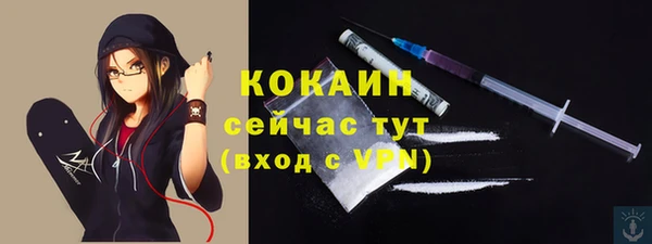 ГАЛЛЮЦИНОГЕННЫЕ ГРИБЫ Богданович