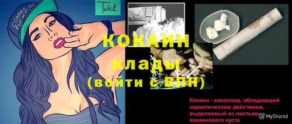ГАЛЛЮЦИНОГЕННЫЕ ГРИБЫ Богданович